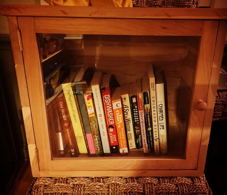 photo of my little free library, with several books inside